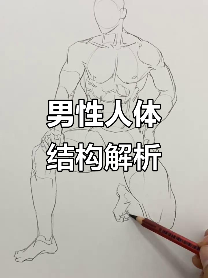 男人半侧身速写，肌肉与骨骼的完美结合