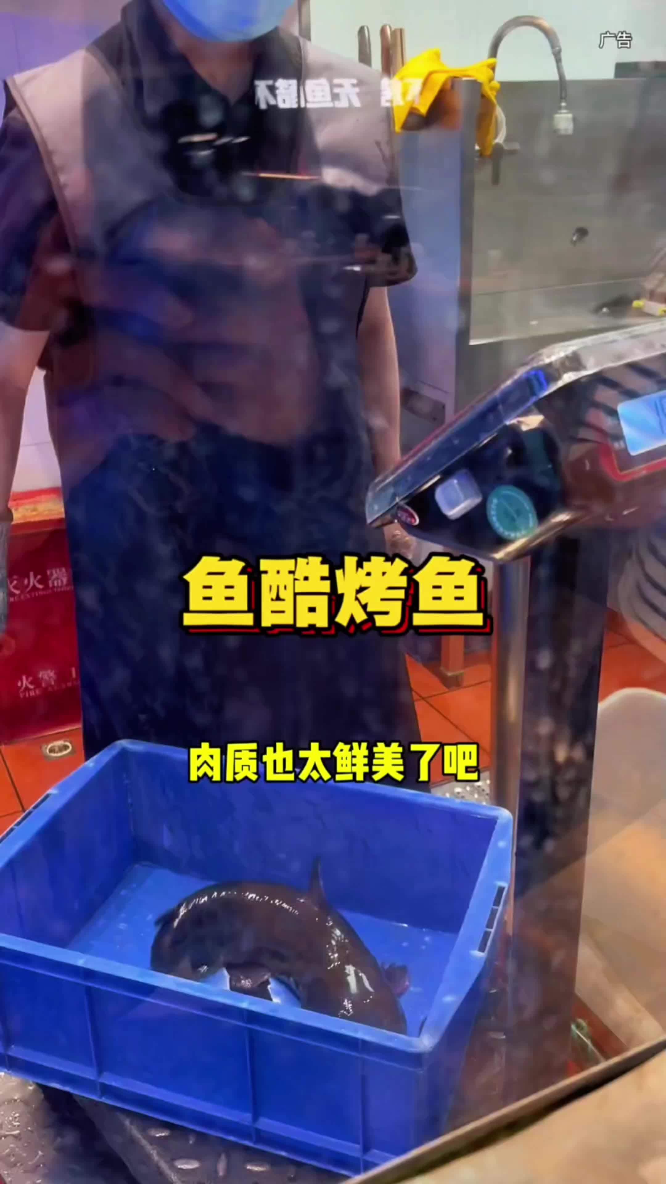 鱼酷烤鱼金狮广场店重装升级,49代100整条鲜活的大鮰鱼可用,现烤的活鱼就是香!真香 活鱼