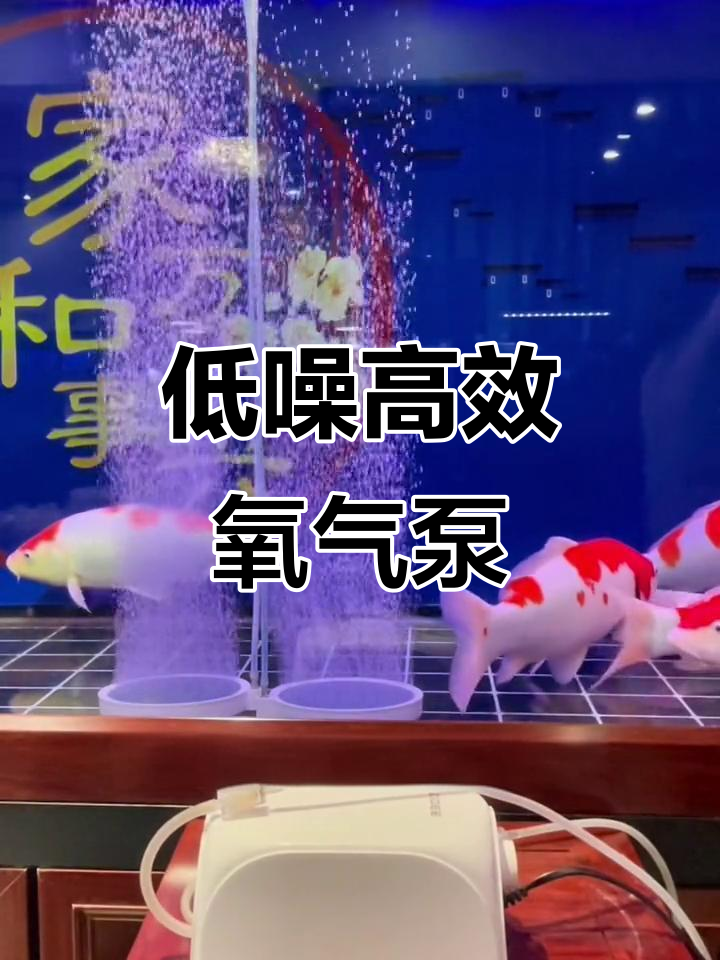 八瓦低噪音气泵,细腻气泡助力鱼缸增氧