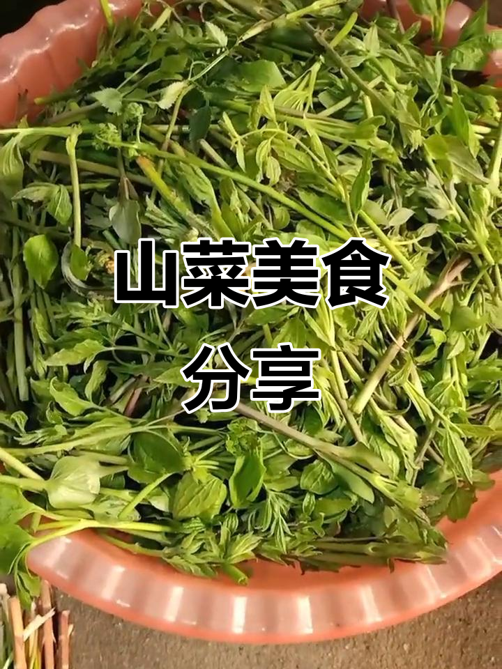 农村山菜大快朵颐,辣椒秧晒干冬天吃更美味