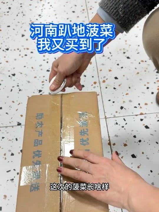让我瞅瞅你们的河南趴地菠菜都长啥样子的