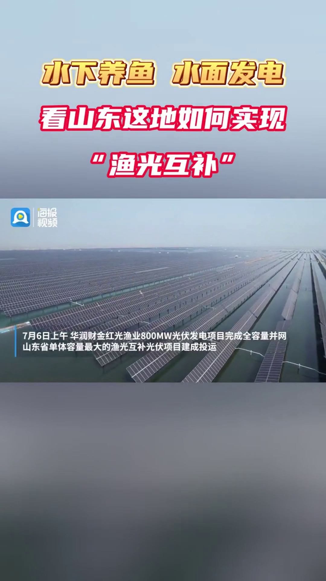 水下养鱼,水面发电。看山东这地如何实现“渔光互补” 聚焦2023绿色低碳高质量发展大会