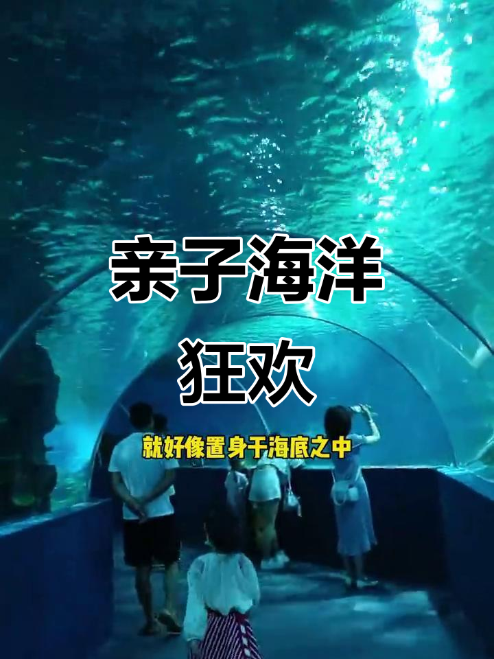 国庆带娃看美人鱼,1米以下免费,还有海狮表演!