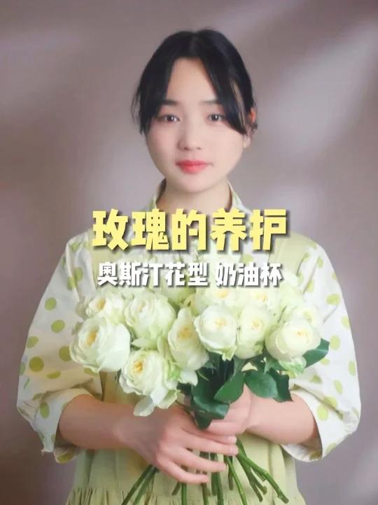 奶油杯玫瑰的养护方法和技巧