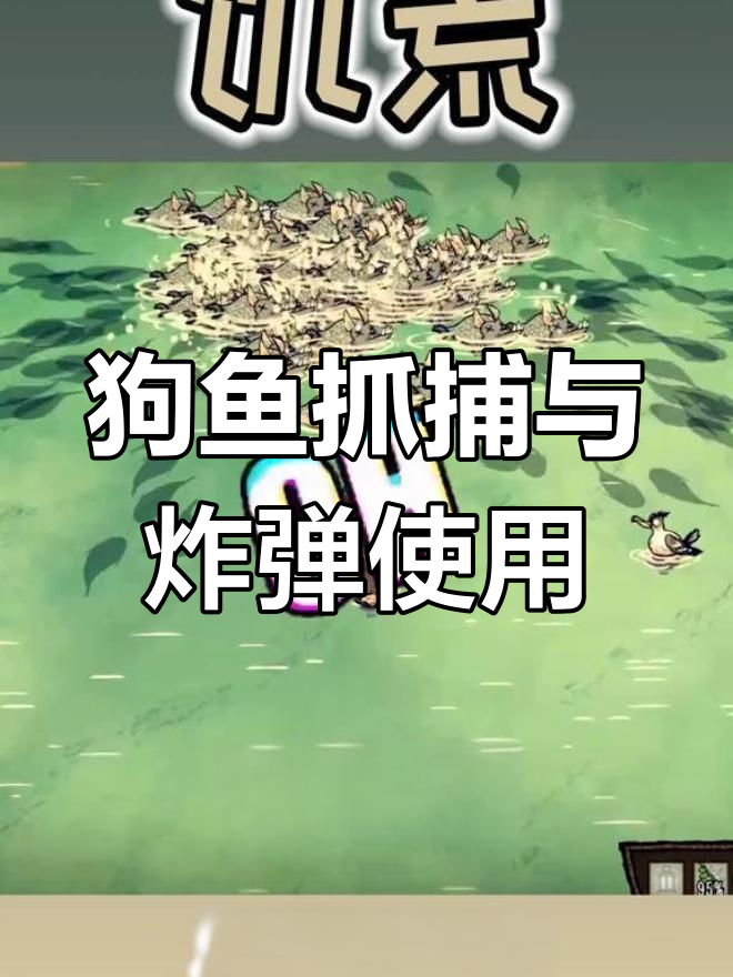 海南狗鱼捕捉技巧大揭秘,炸鱼轻松搞定!