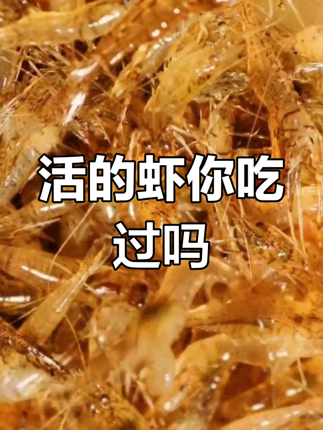西昌醉虾大揭秘,活虾吃法你敢挑战吗?