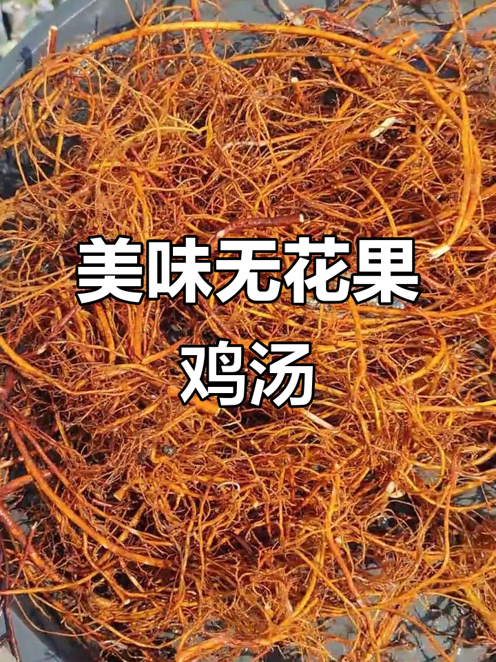 无花果与鸡、玉米笋搭配,汤味浓郁,口感丰富!