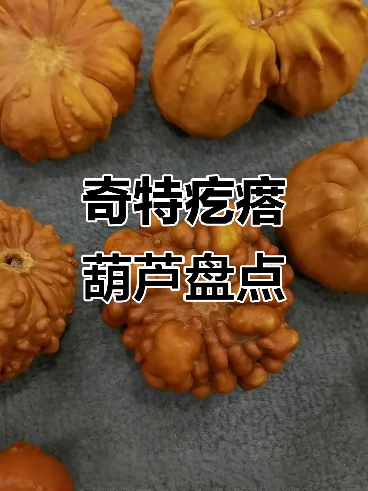 丑陋却有趣的疙瘩葫芦，盘玩体验大揭秘
