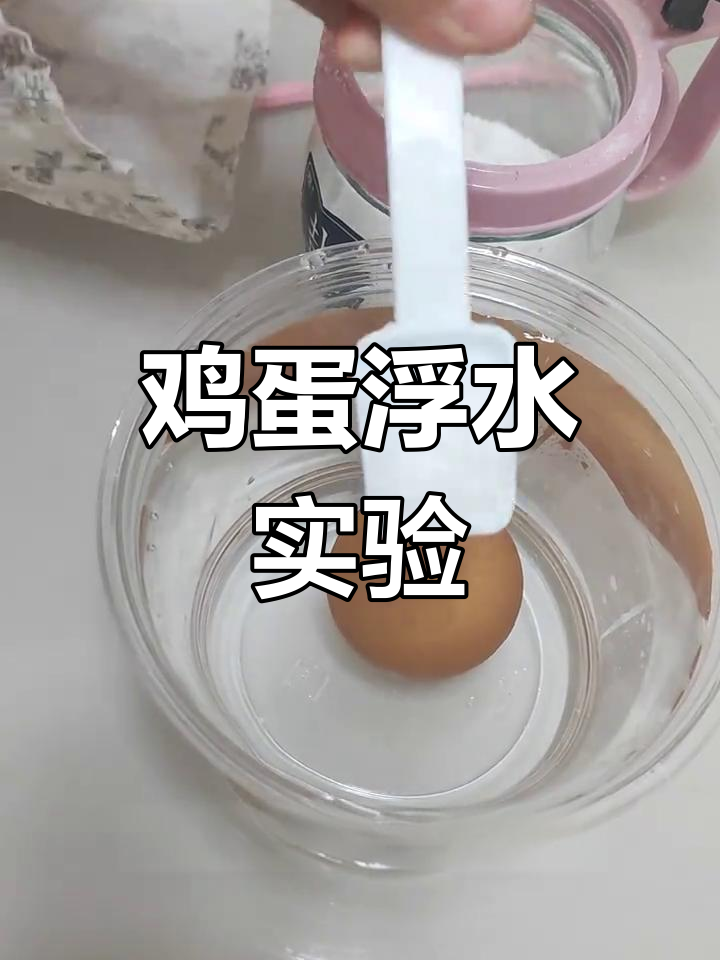 盐水孵鸡蛋,竟然能让它浮起来!科学小实验揭秘原理
