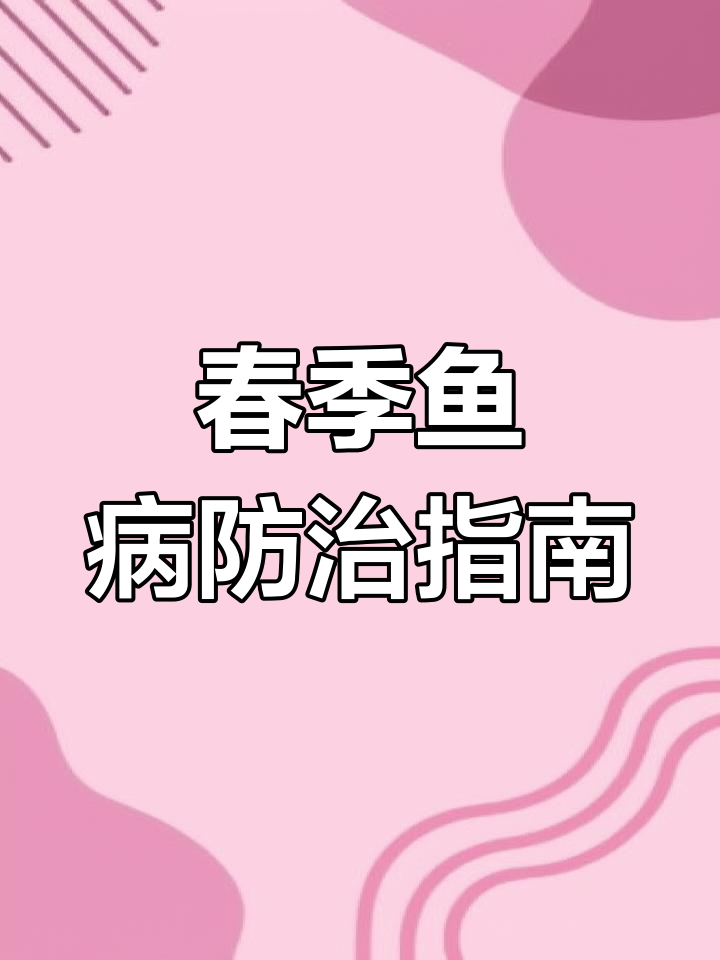春季鱼病高发期,如何预防和治疗常见疾病