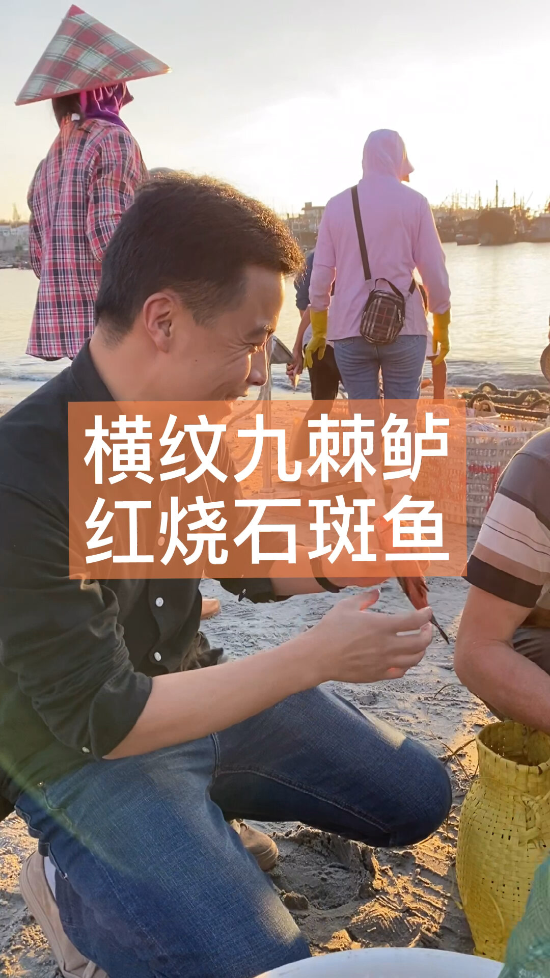 小石斑鱼,肉紧实的这种海鱼红烧好吃