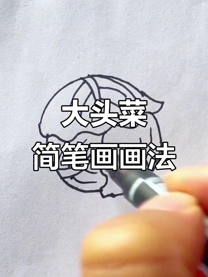 轻松学会大头菜简笔画，简单又有趣！