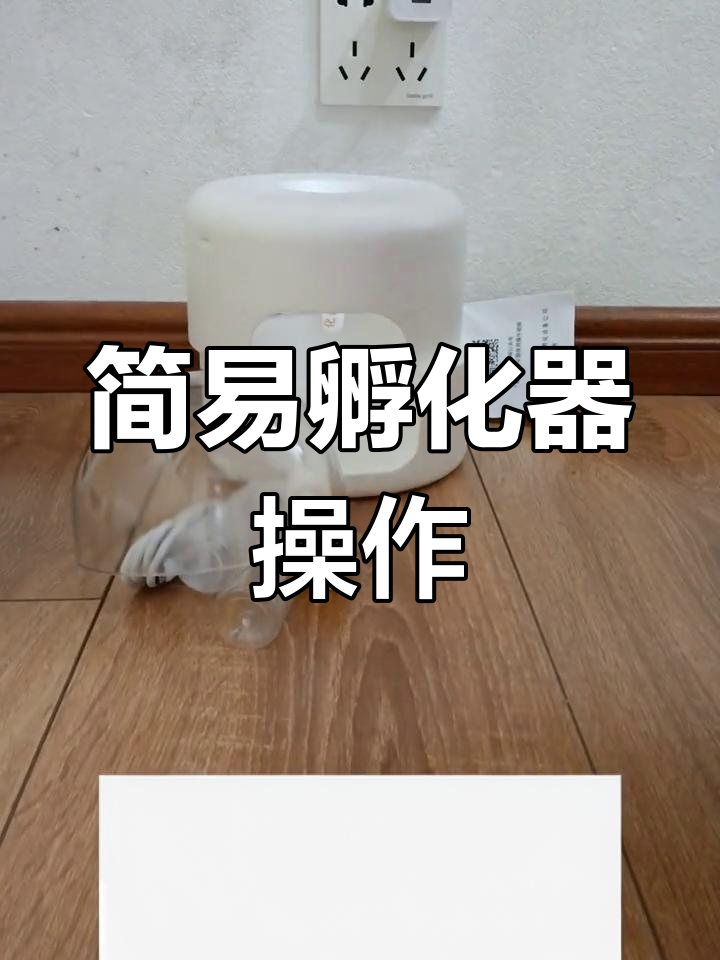 迷你孵化器使用指南