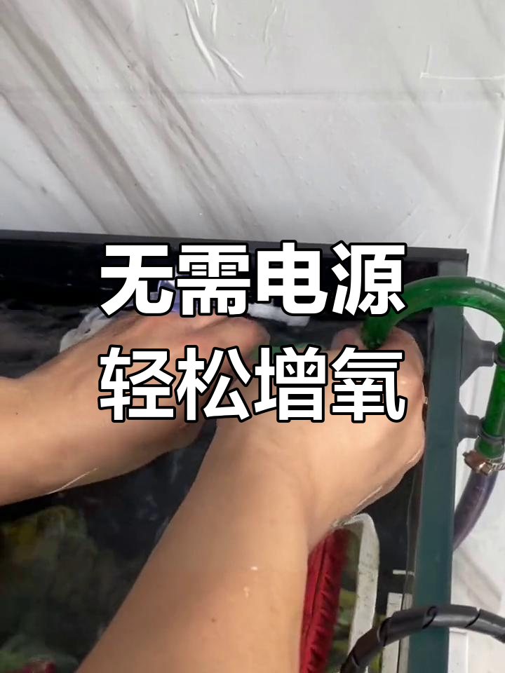 不需要电的鱼缸增氧神器