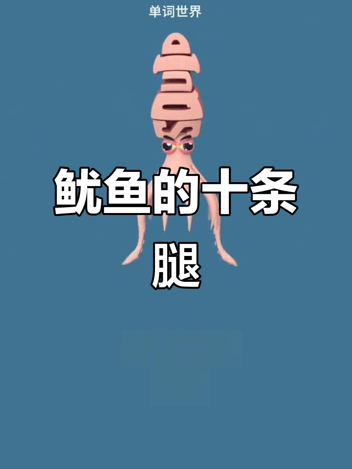 鱿鱼有十条腿,海底世界大揭秘!