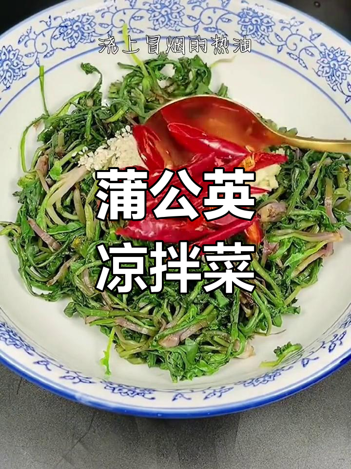 五一假期挖蒲公英,凉拌做法超简单又美味