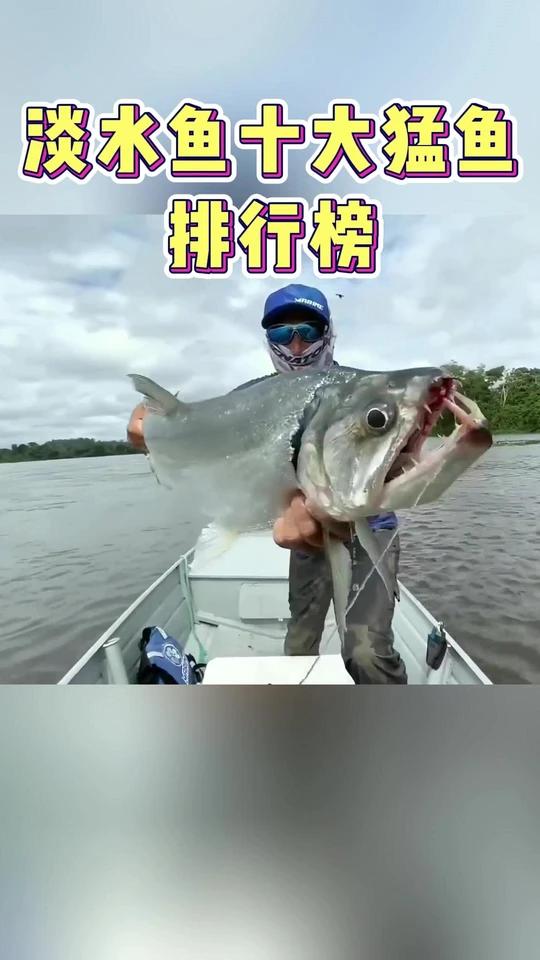 淡水鱼十大猛鱼排行榜