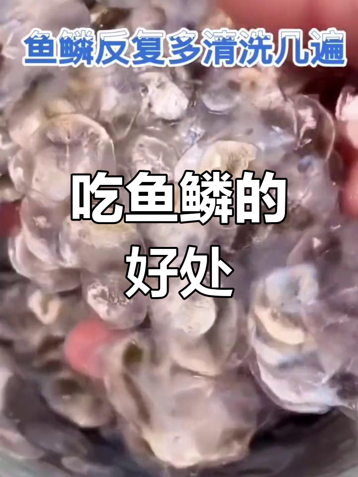 鱼鳞的营养价值与功效