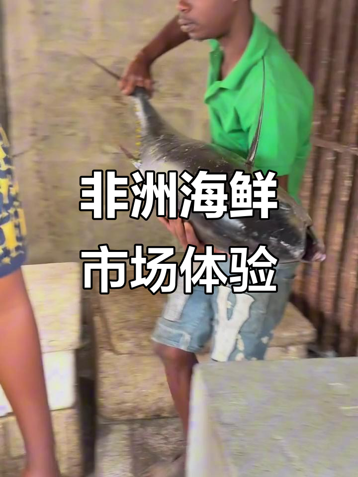 非洲海鲜市场探秘:新鲜金枪鱼和龙虾价格不菲