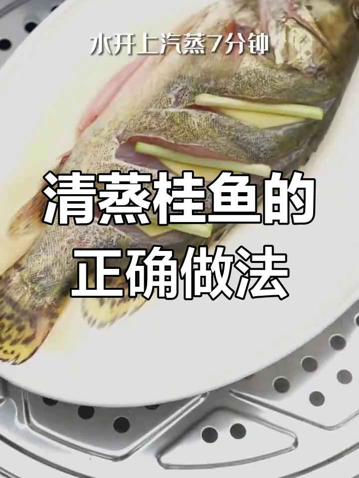 夏日清蒸桂鱼,鲜嫩无比的完美做法
