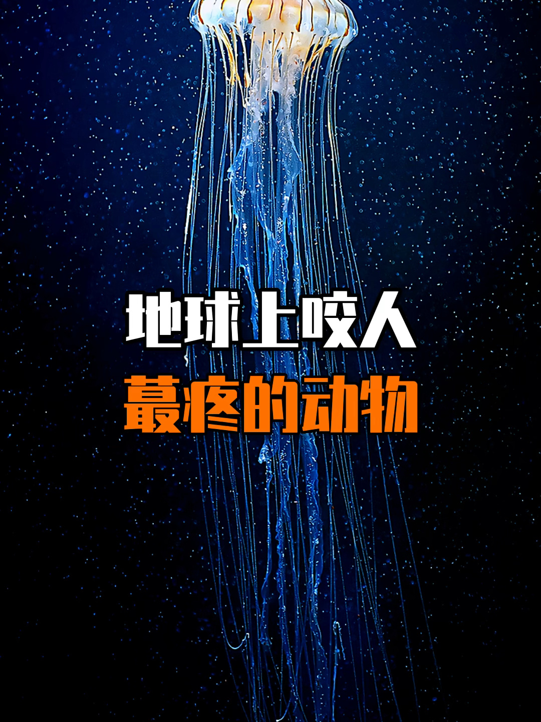 地球上咬人蕞疼的动物