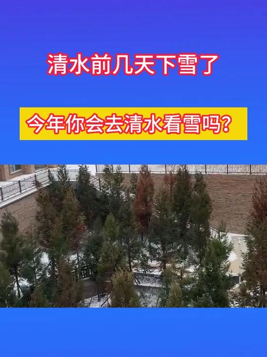清水前几天下雪了,今年你会去清水看雪吗 清水前几天下雪了,今年你会去清水看雪吗