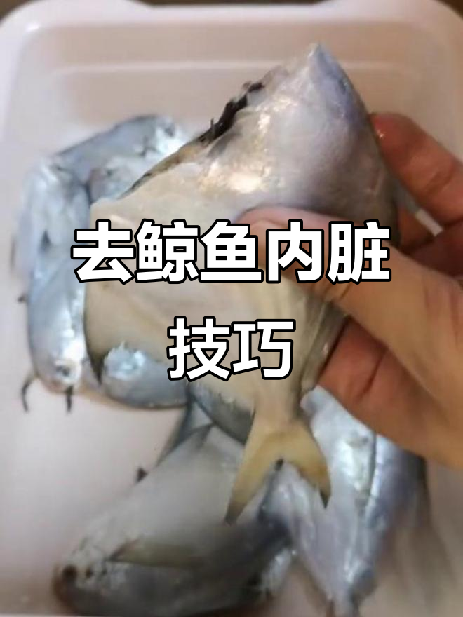 鲸鱼去内脏的简单操作,轻松搞定!