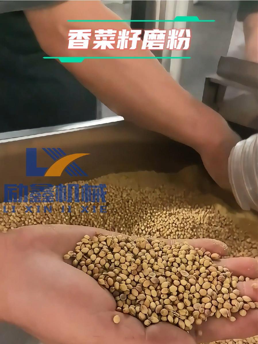 香菜籽磨粉。郑州励鑫机械,粉碎,磨粉,筛分生产厂家。调料粉 中药粉 再生资源发展与利用 郑