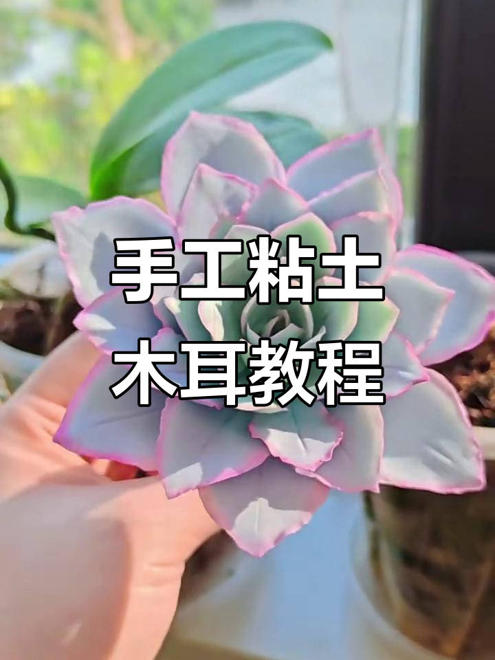 手工粘土广寒宫多肉教程,简单步骤教你做可爱植物