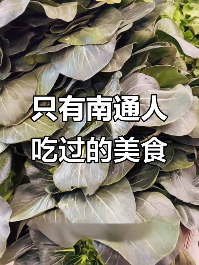 南通如皋的独特美味,黑塌菜你尝过吗?