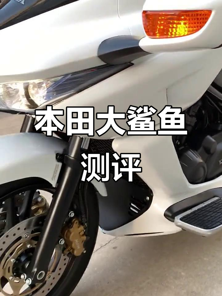 本田大鲨鱼:动力与操控的完美结合