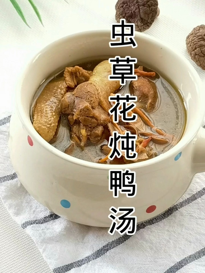 虫草花炖鸭汤,鲜香不腻!