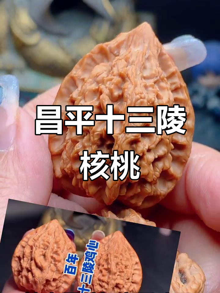 百年野生老树核桃，十三陵鸡心尺寸完美