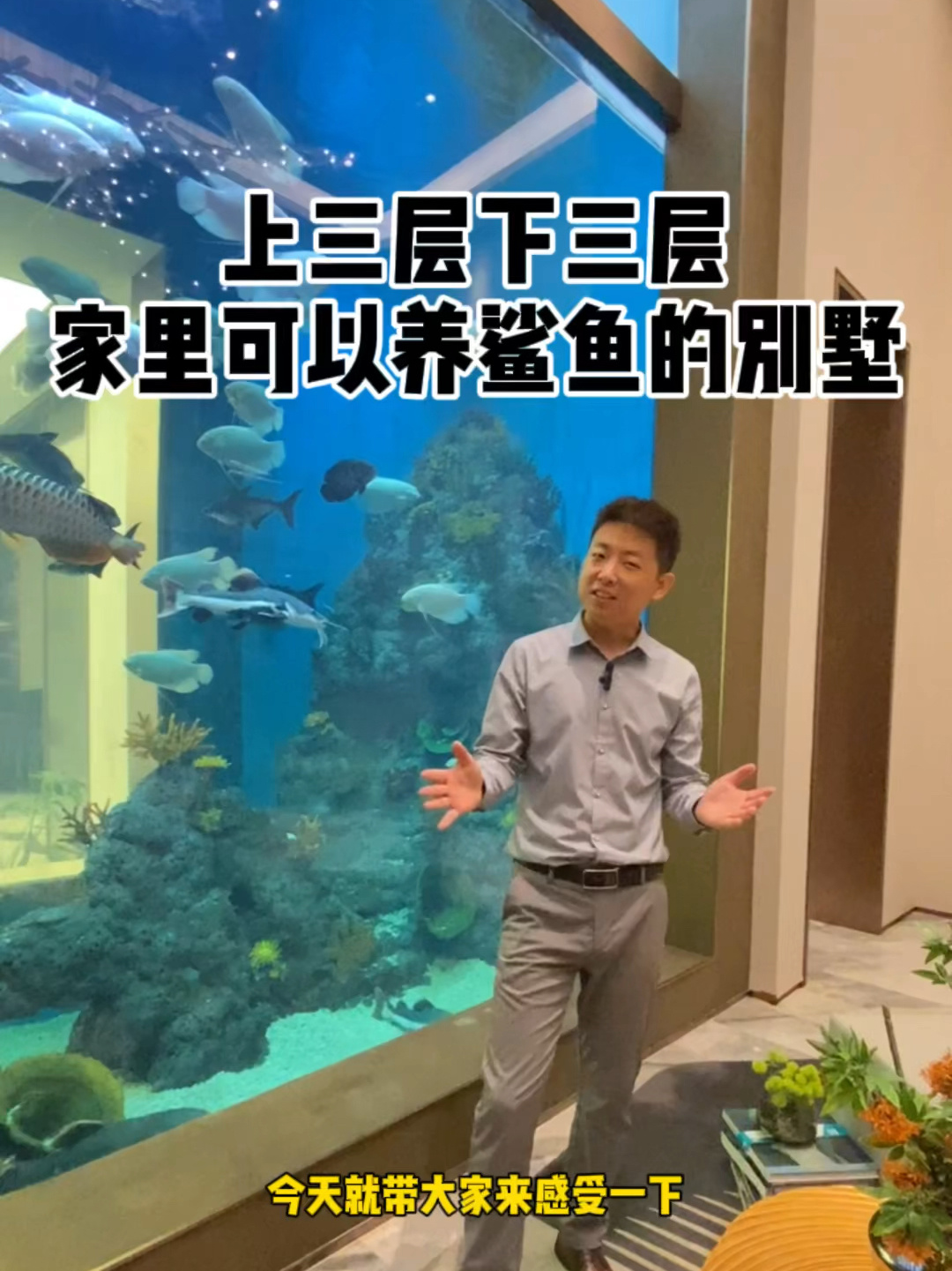 家里可以养鲨鱼的别墅长啥样