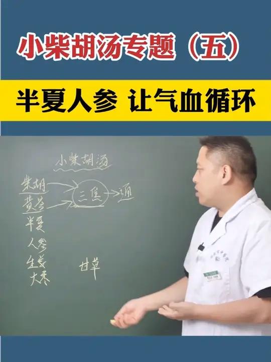 小柴胡汤 半夏人参让气血循环