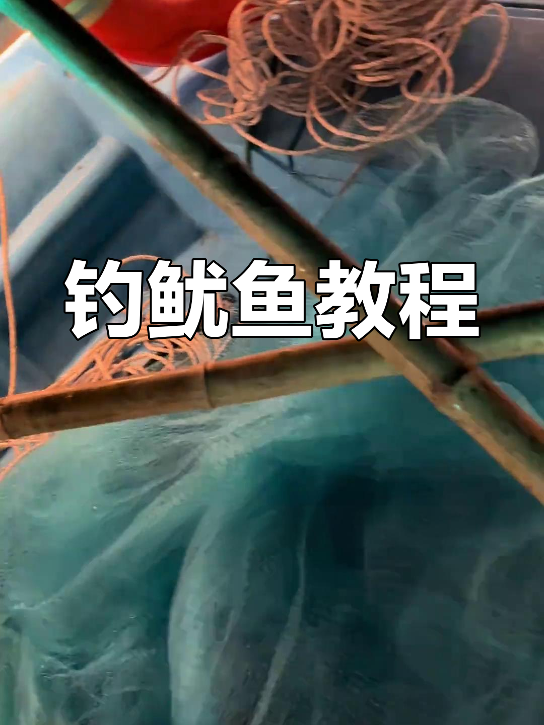 钓鱿鱼操作全攻略,轻松掌握网具使用技巧