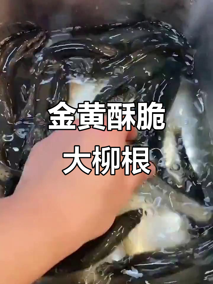 柳根鱼煎制技巧,轻松做出完美金黄酥脆口感
