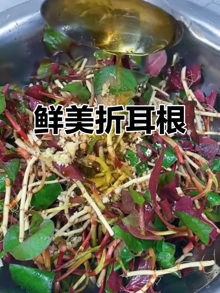 新鲜折耳根,贵州特产,凉拌美味,清香扑鼻