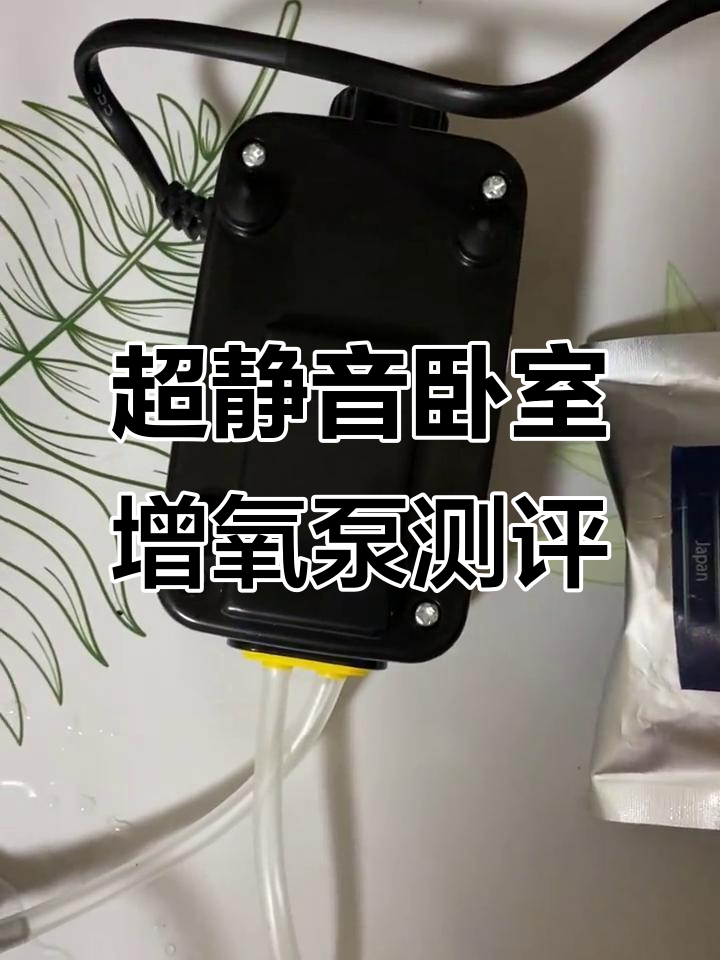鱼缸增氧泵噪音大,睡觉还得关掉?