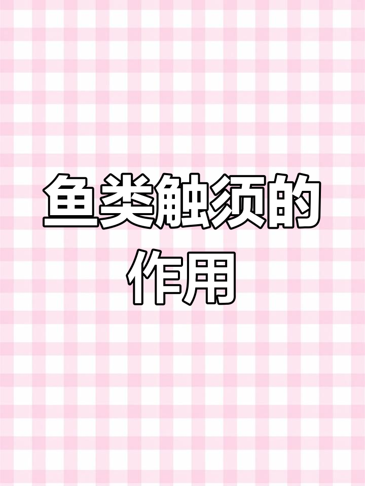 鱼类的触须有何功能?