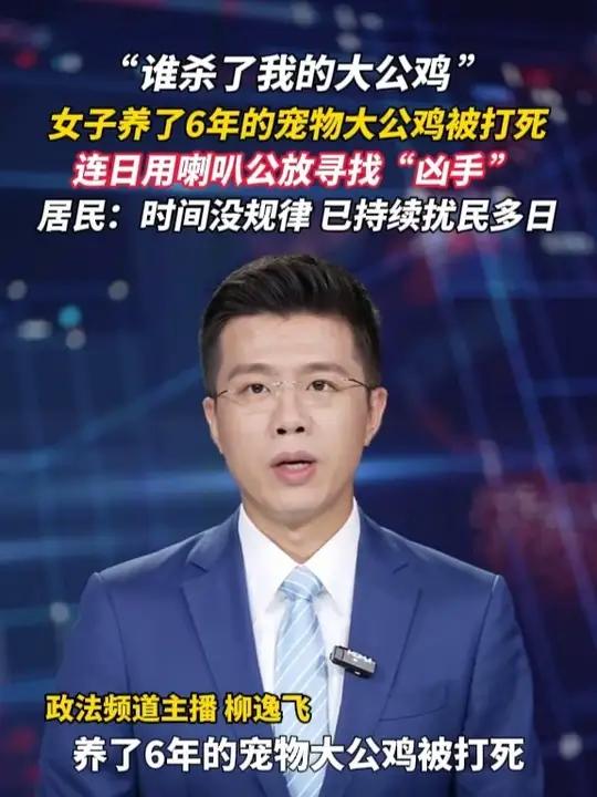 “谁杀了我的大公鸡”，女子养了6年的宠物大公鸡被打死，连日用喇叭公放寻找“凶手”，居民：时