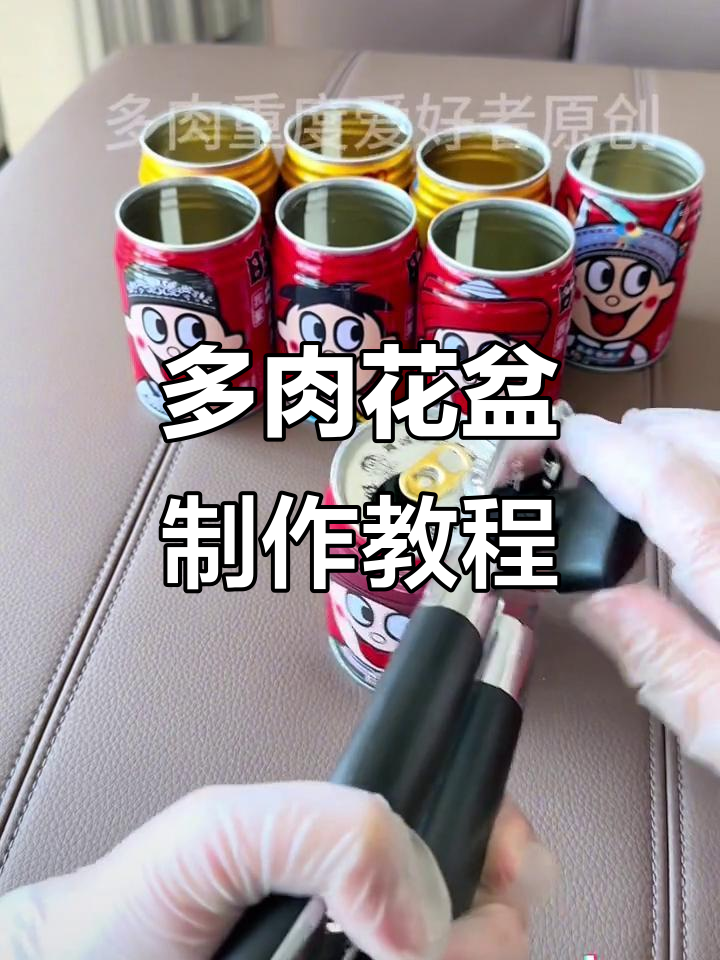 旺仔教你做多肉小花盆,简单又有趣