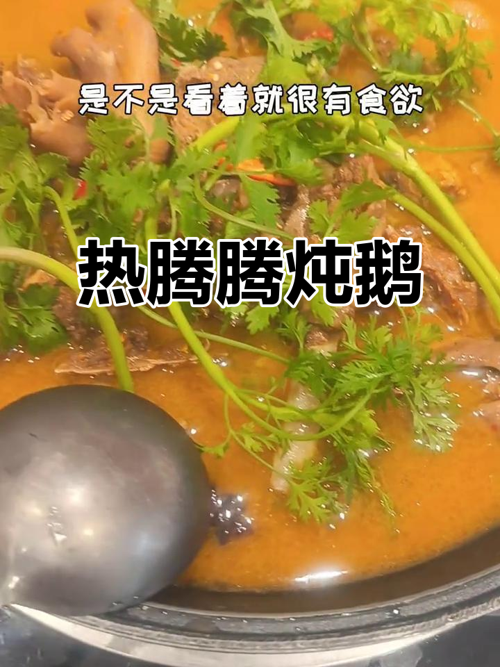 炖鹅肉配蔬菜，营养又美味！