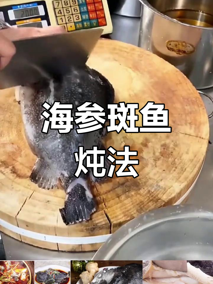 深海海参斑鱼,2/8斤可选,顺丰包邮