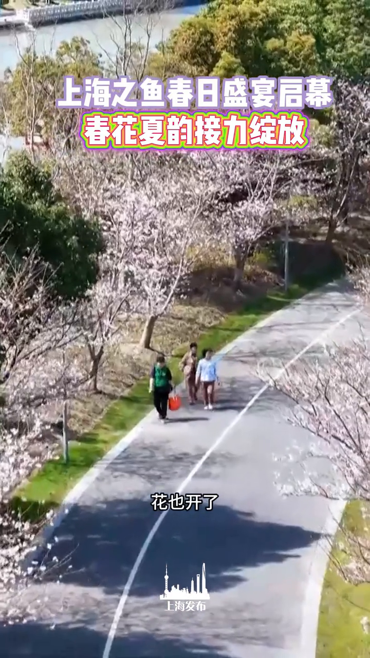 上海之鱼正式进入年度赏花季