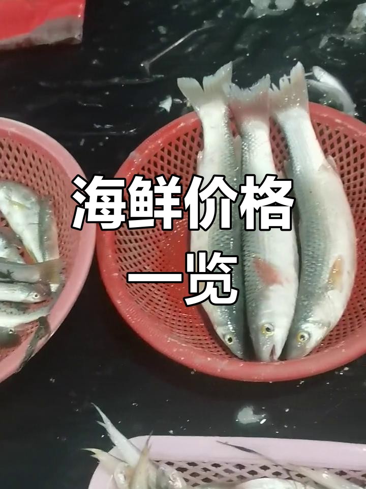 庵东市场海鲜价格大揭秘,鲻鱼75元一斤