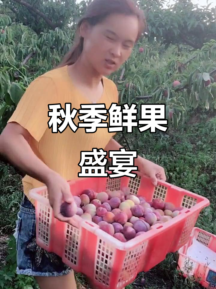 乡村的秋天,新鲜水果蔬菜随手可得,现摘即食,味道绝佳!