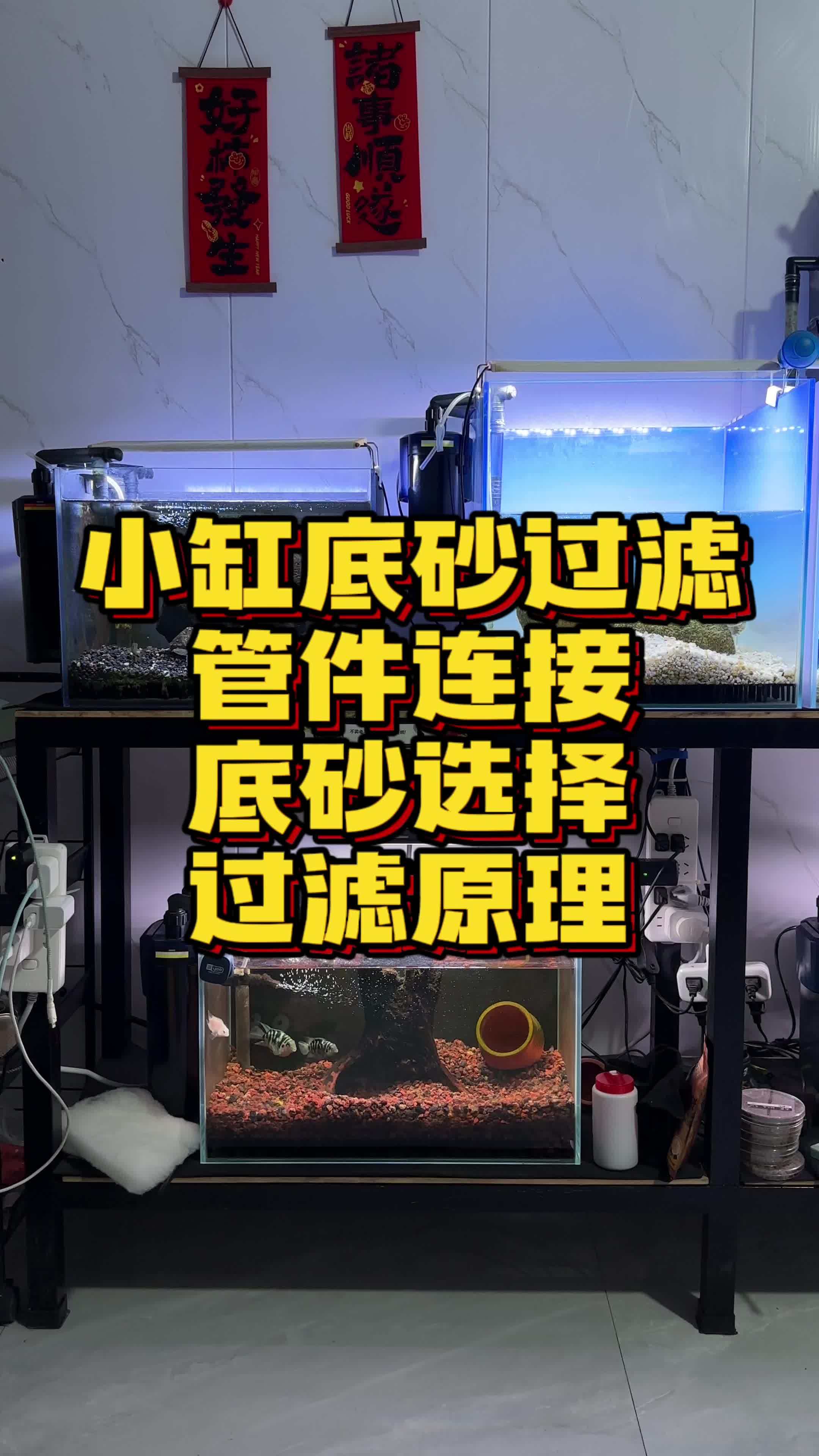 小缸底砂过滤的详细讲解,管件连接、底砂选择、过滤原理。用了好几年了确实好用再分享给大家,可