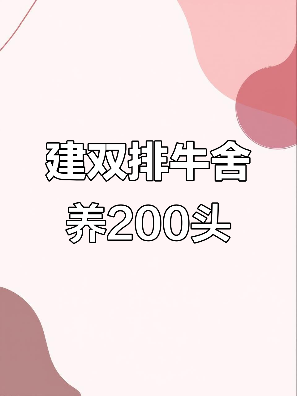 双排牛舍建设技巧,200头肉牛养殖全攻略
