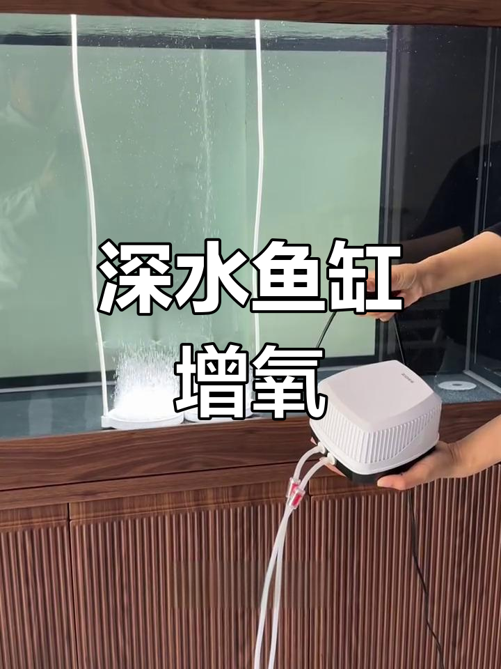 深水鱼缸静音爆氧系统,10瓦气泵驱动双气盘